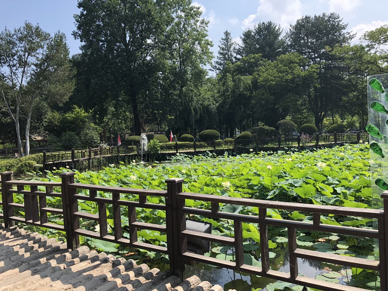 Tour de día completo a la isla de Nami, el monte Seorak y el Rail Bike de Gapyeong desde Seúl - imagen 17