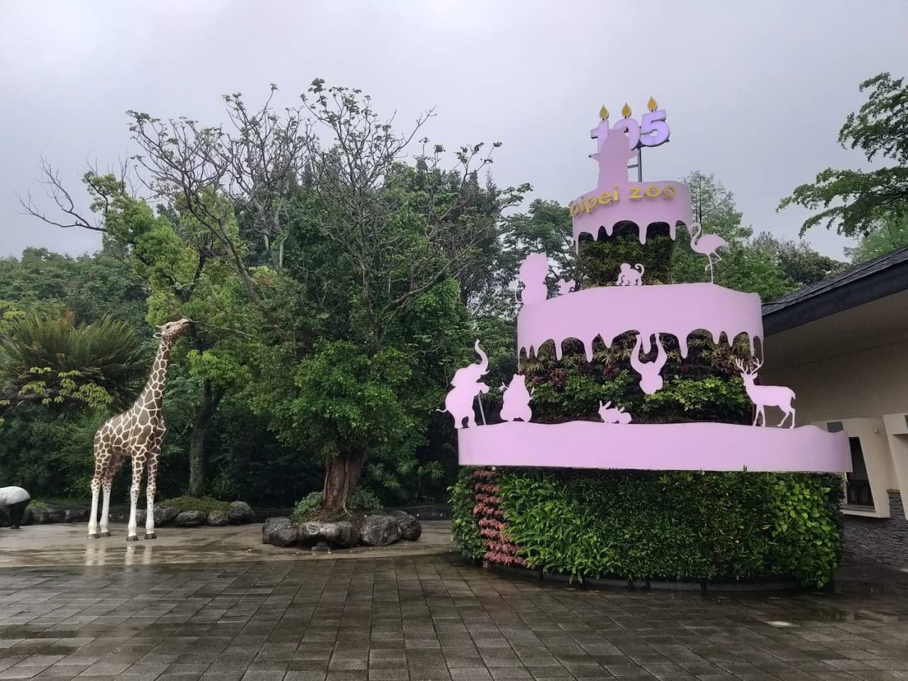 COMBO: Taipei Zoo + Maokong Gondola - image 5