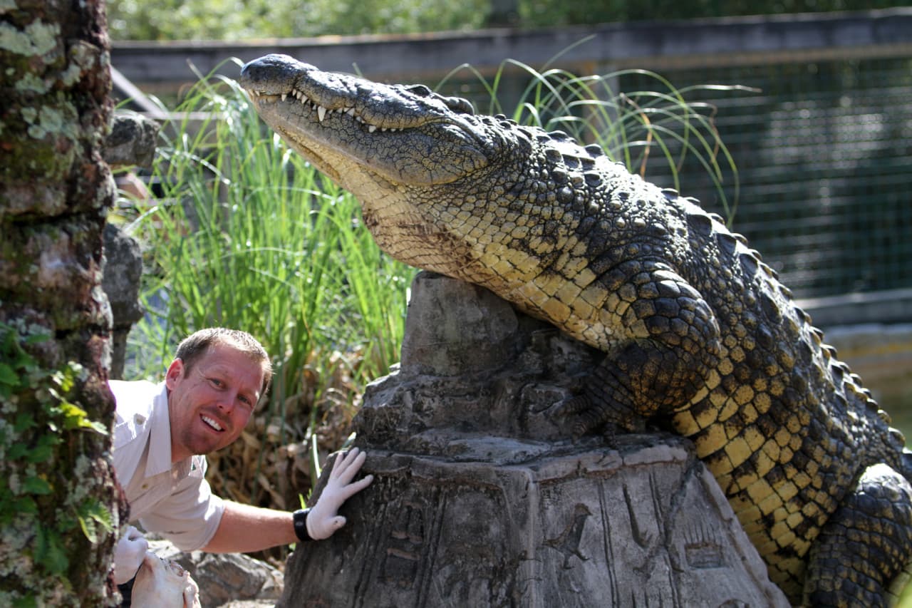 Go City Orlando Explorer Pass: Save up to 50% on Attractions - image 13