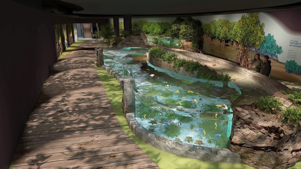 Singapore Oceanarium Insider Experience - image 7