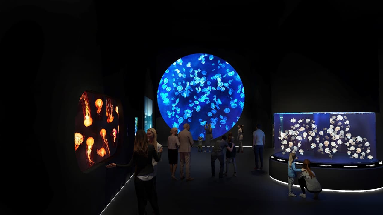 Singapore Oceanarium Insider Experience - image 8