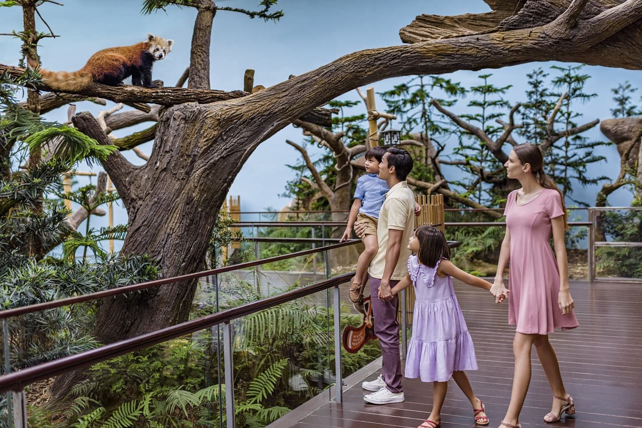 COMBO: Singapore Zoo + River Wonders Ticket - image 14