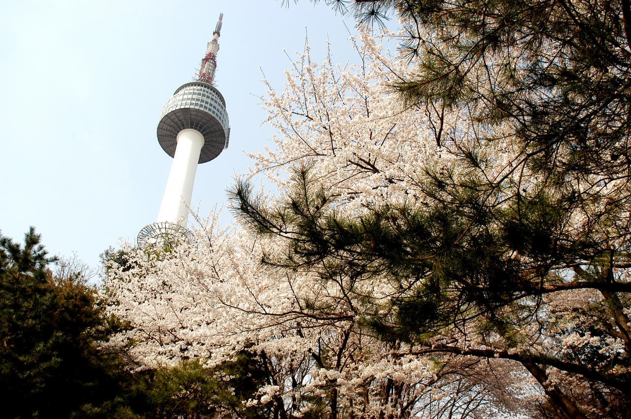COMBO: AREX Incheon Airport Express Train + N Seoul Tower Observatory - image 10