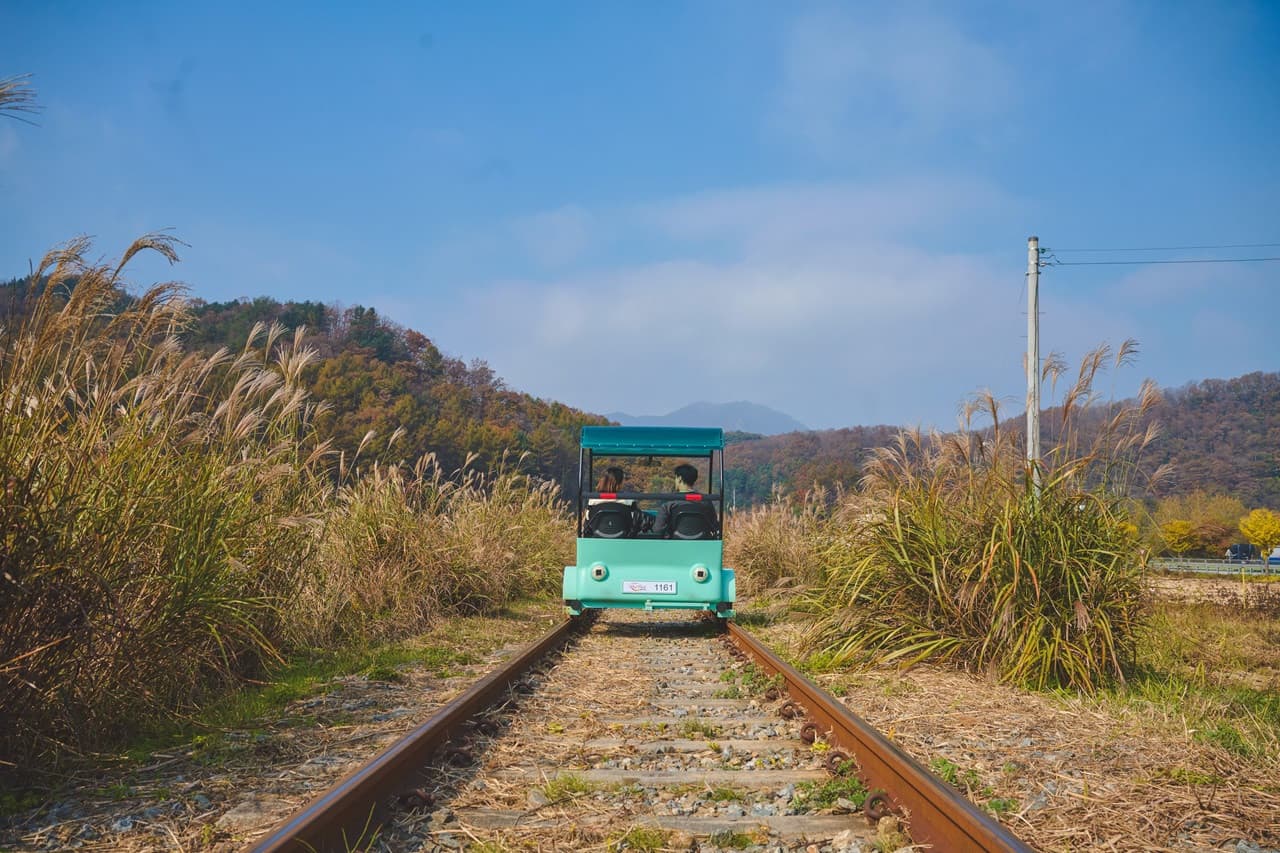Tour de día completo a la isla de Nami, el monte Seorak y el Rail Bike de Gapyeong desde Seúl - imagen 2