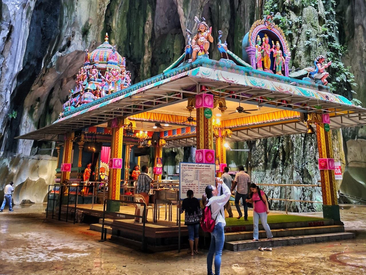 Batu Caves and Kuala Gandah Elephant Sanctuary Full-Day Tour from Kuala Lumpur - image 4
