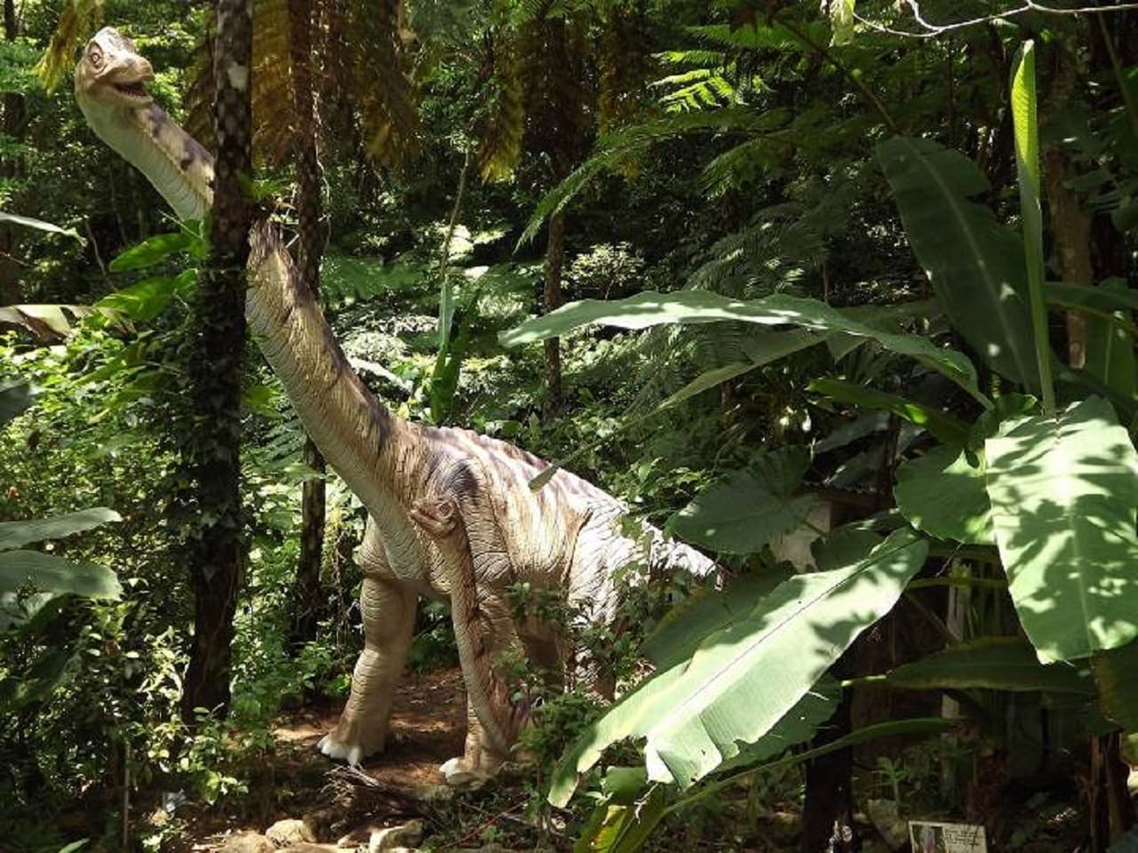 Okinawa Dino Park Yanbaru Subtropical Forest Ticket - image 7