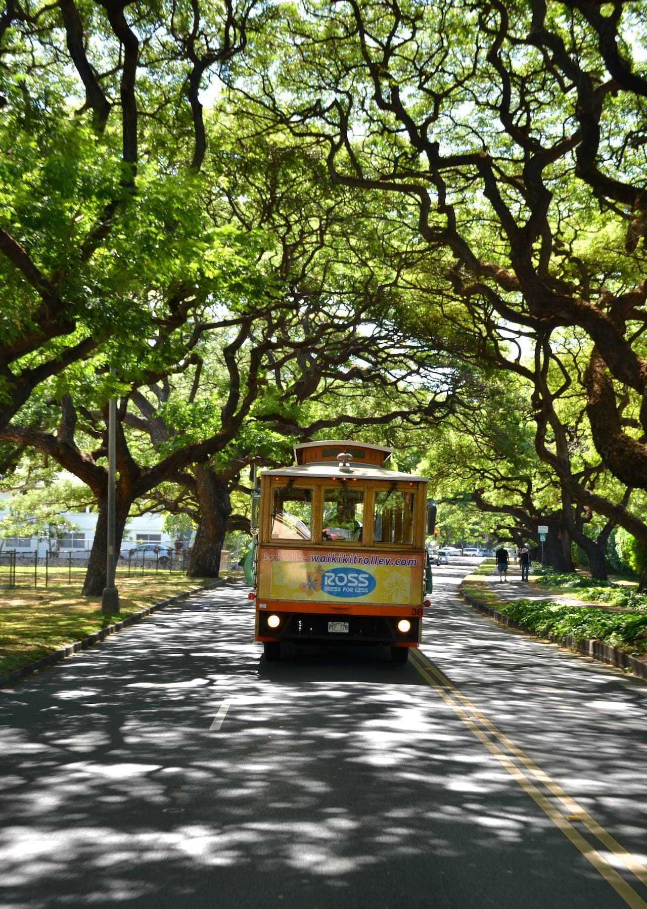 Waikiki Trolley Hop-on Hop-off Bus Tour - image 5
