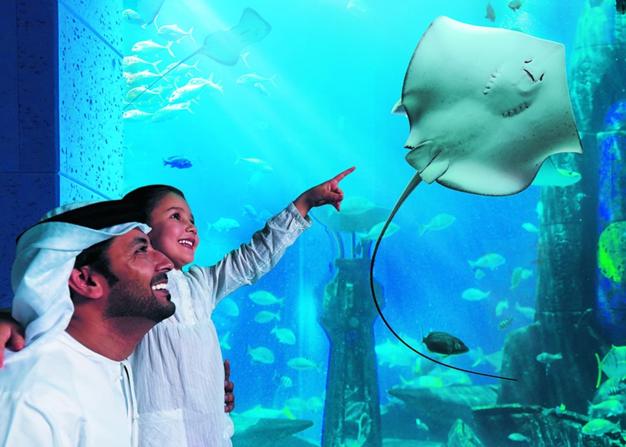 COMBO: The View at The Palm + Lost World Aquarium - imagen 3