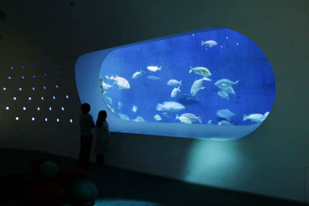 Oita Marine Palace Aquarium Umitamago Ticket - image 3