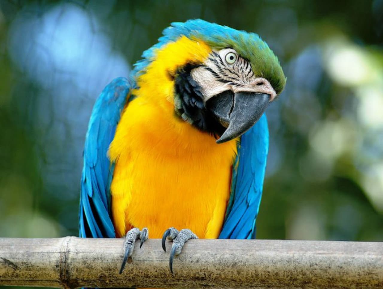 Bioparco: The Zoo of Rome - imagen principal