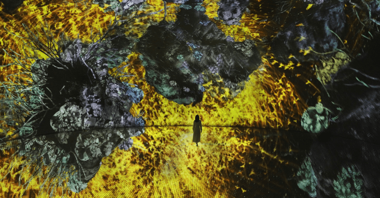 teamLab Phenomena Abu Dhabi Ticket - image 8