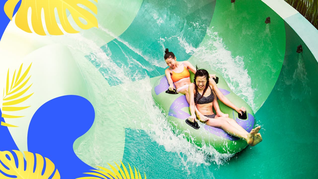 Adventure Cove Waterpark Ticket - image 3