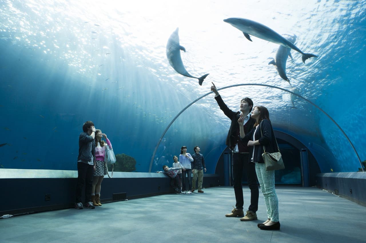 Yokohama Hakkeijima Sea Paradise Ticket - main image