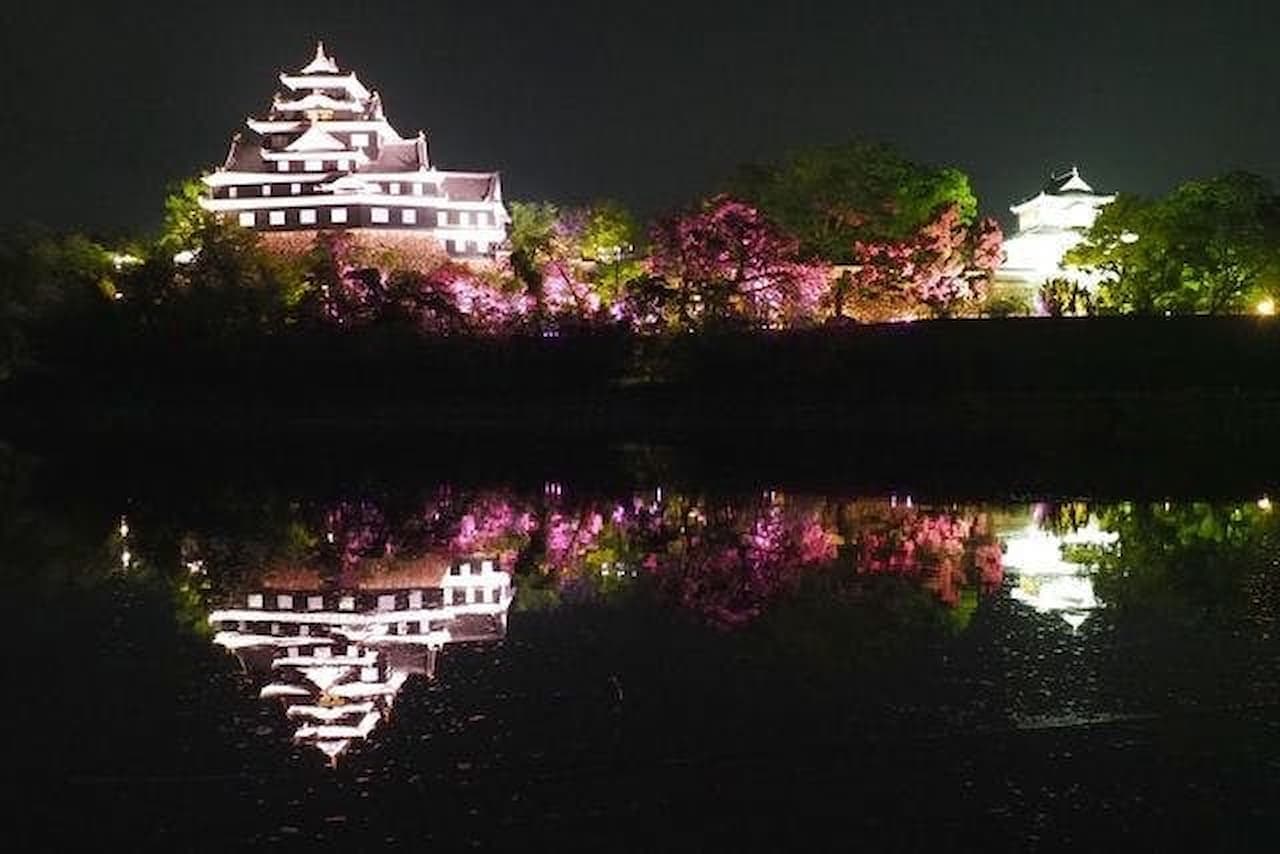 Okayama Castle Ticket - image 6