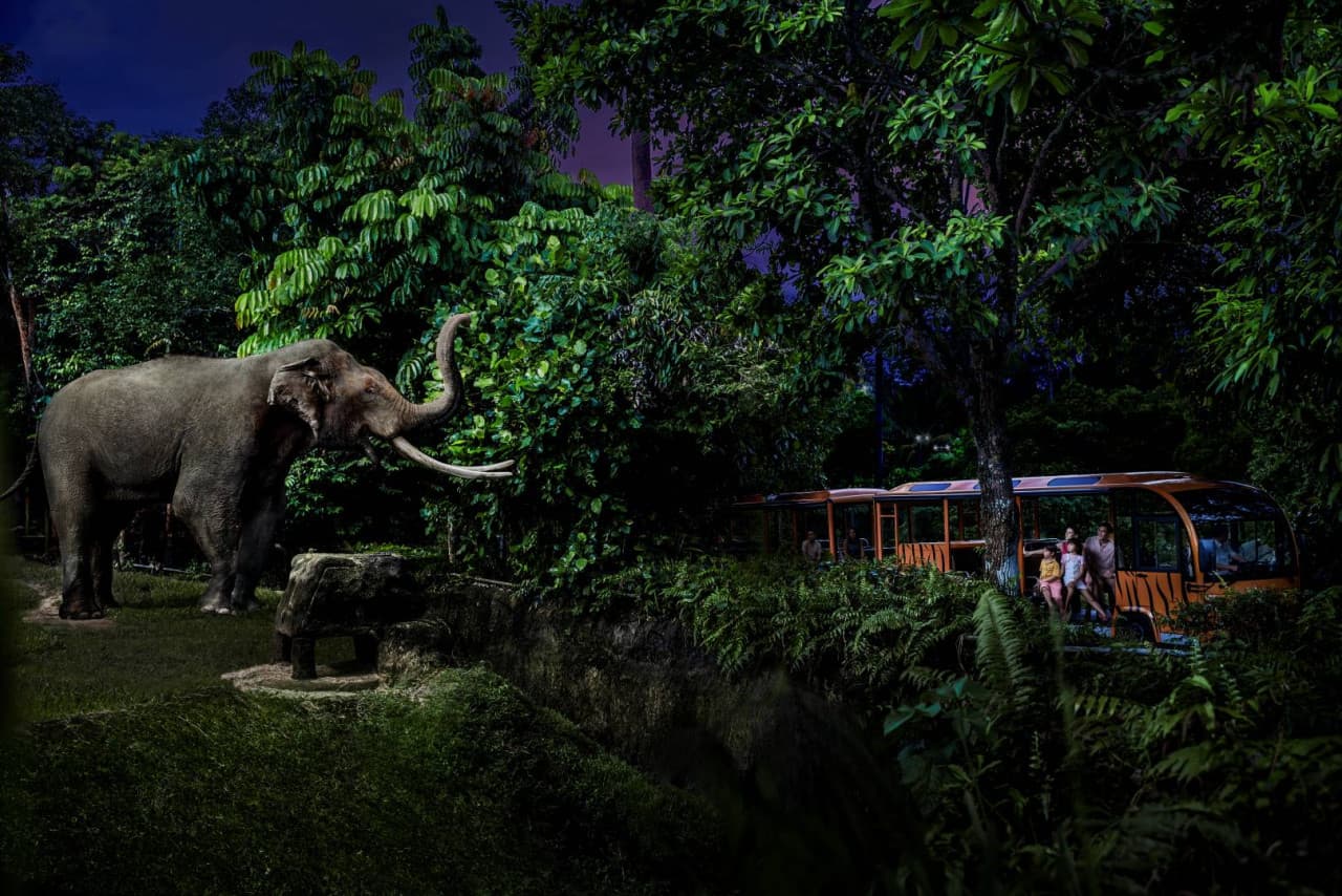 5-in-1 Day Pass: Night Safari + Singapore Zoo + Bird Paradise + River Wonders + Rainforest Adventure - image 14