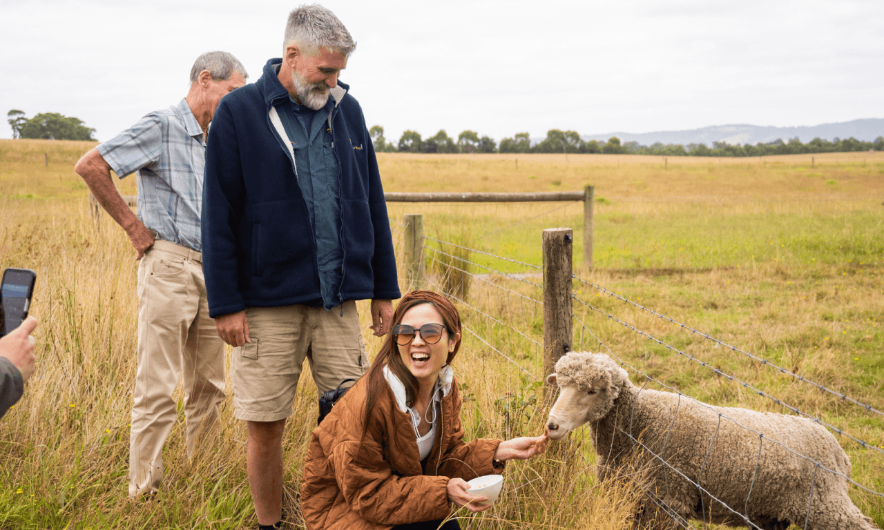 Yarra Valley Full-Day Grazing Tour from Melbourne - image 6