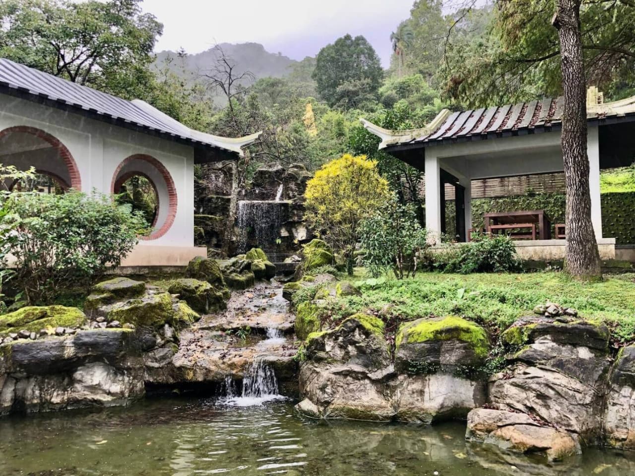 Pinglin Tea Culture and Maokong Full-Day Tour from Taipei - imagen 4