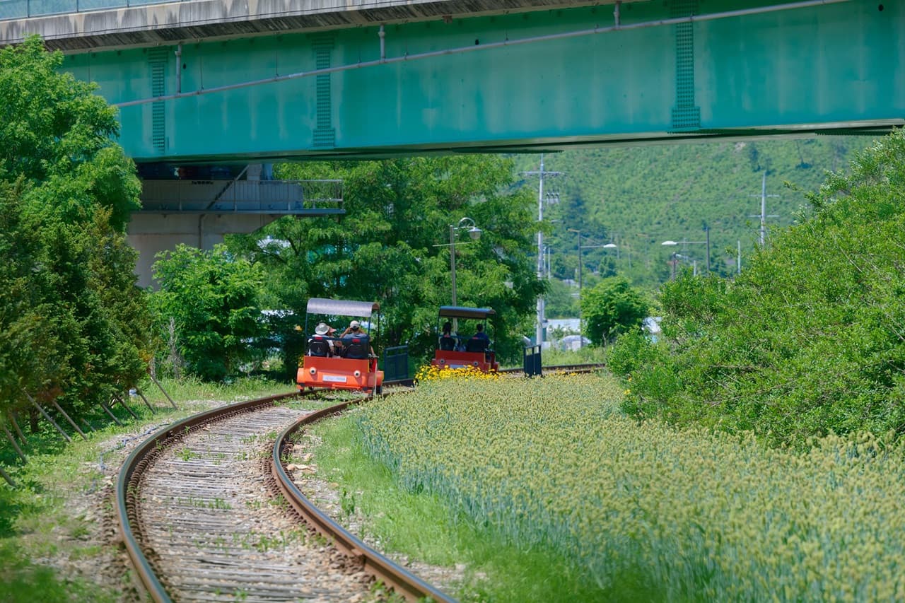 Tour de día completo a la isla de Nami, el monte Seorak y el Rail Bike de Gapyeong desde Seúl - imagen 22