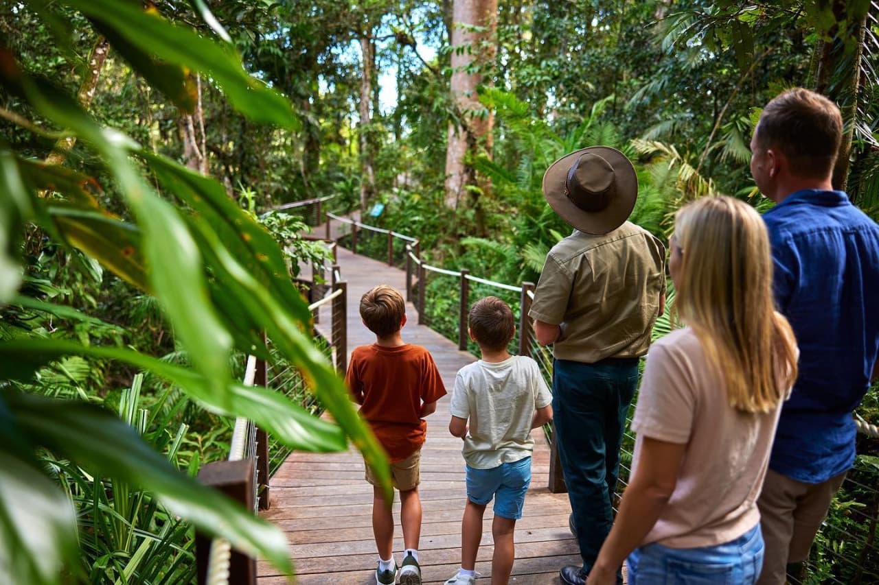 Skyrail Rainforest Cableway with Optional Kuranda Scenic Train Ticket and Hotel Pick-Up - image 8