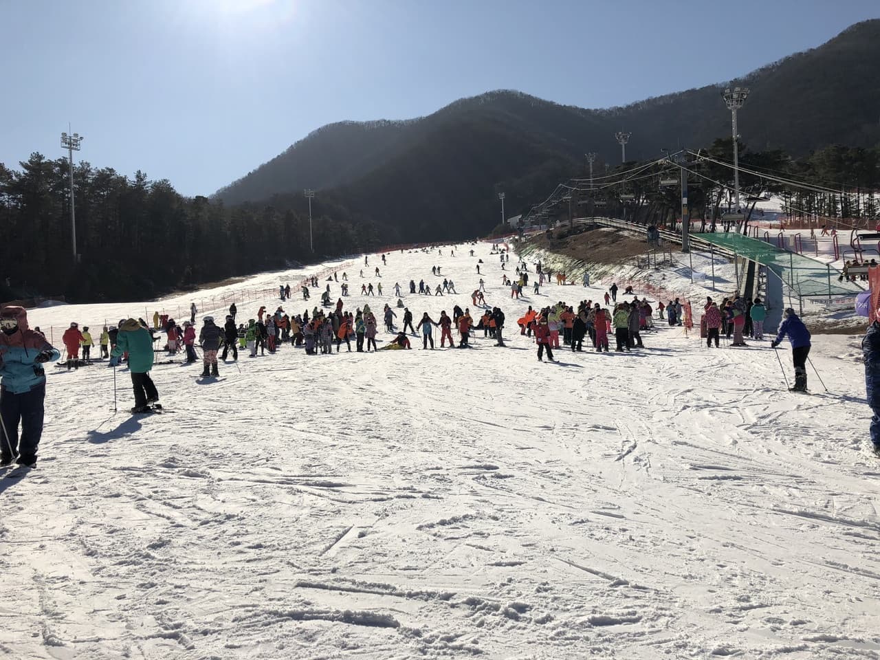 Jisan Forest Ski Resort Full-Day Tour from Seoul - 이미지 2