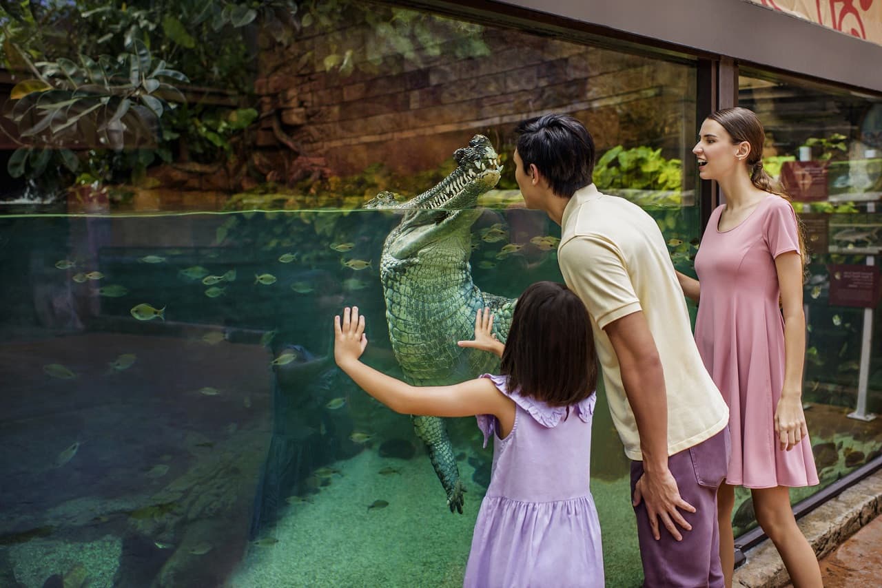 Entrada a River Wonders Singapur - imagen 6