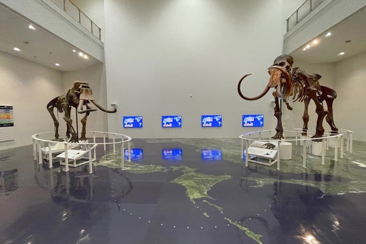 Hokkaido Museum Ticket - main image