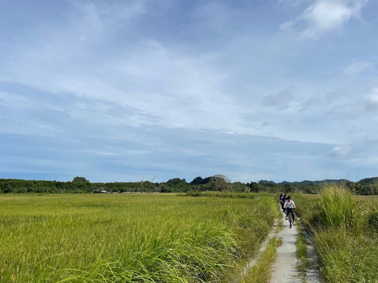 Langkawi Countryside Biking Tour - image 2