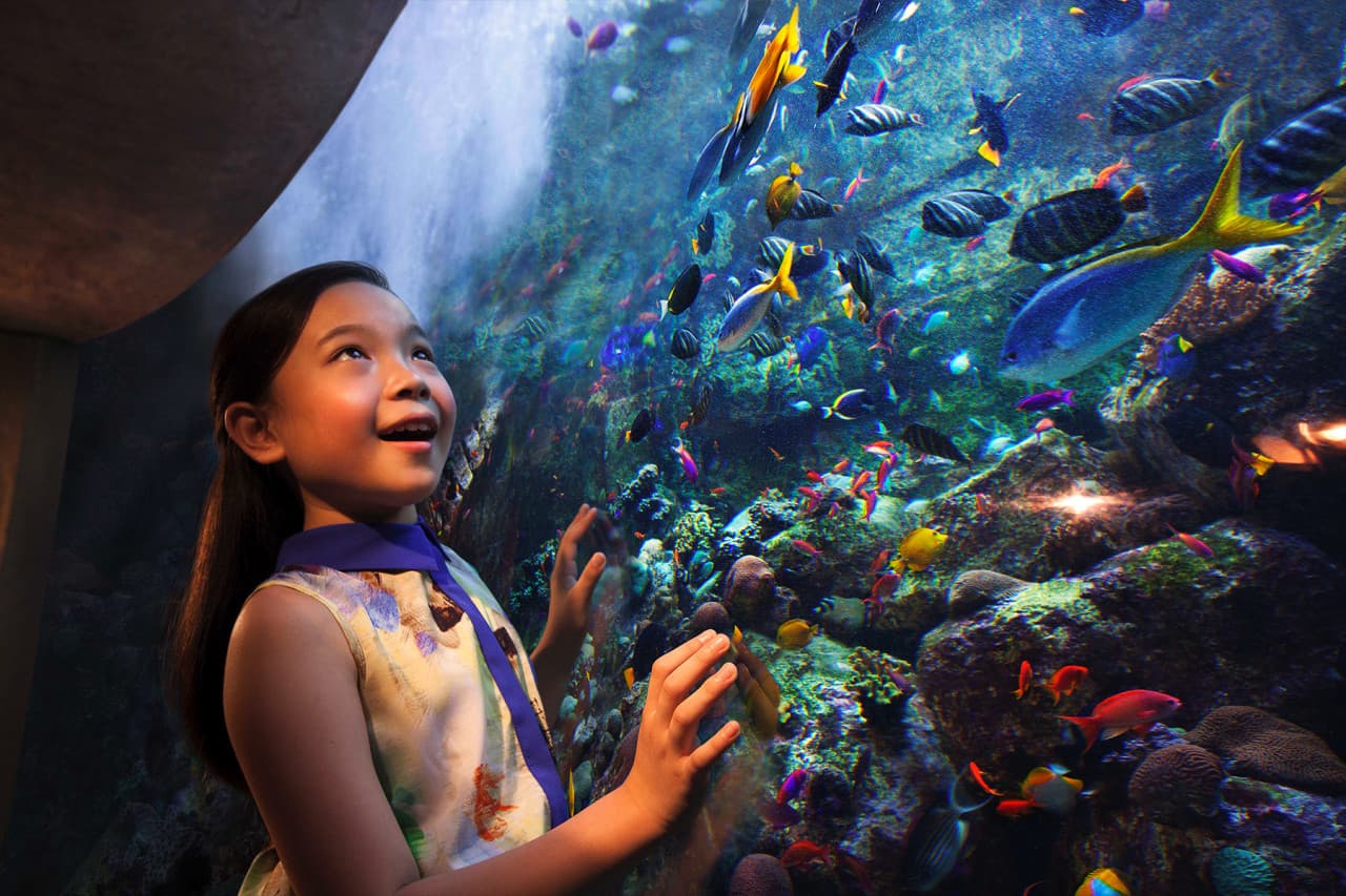 Go City Dubai All-Inclusive Pass: Save up to 50% on Attractions - image 29