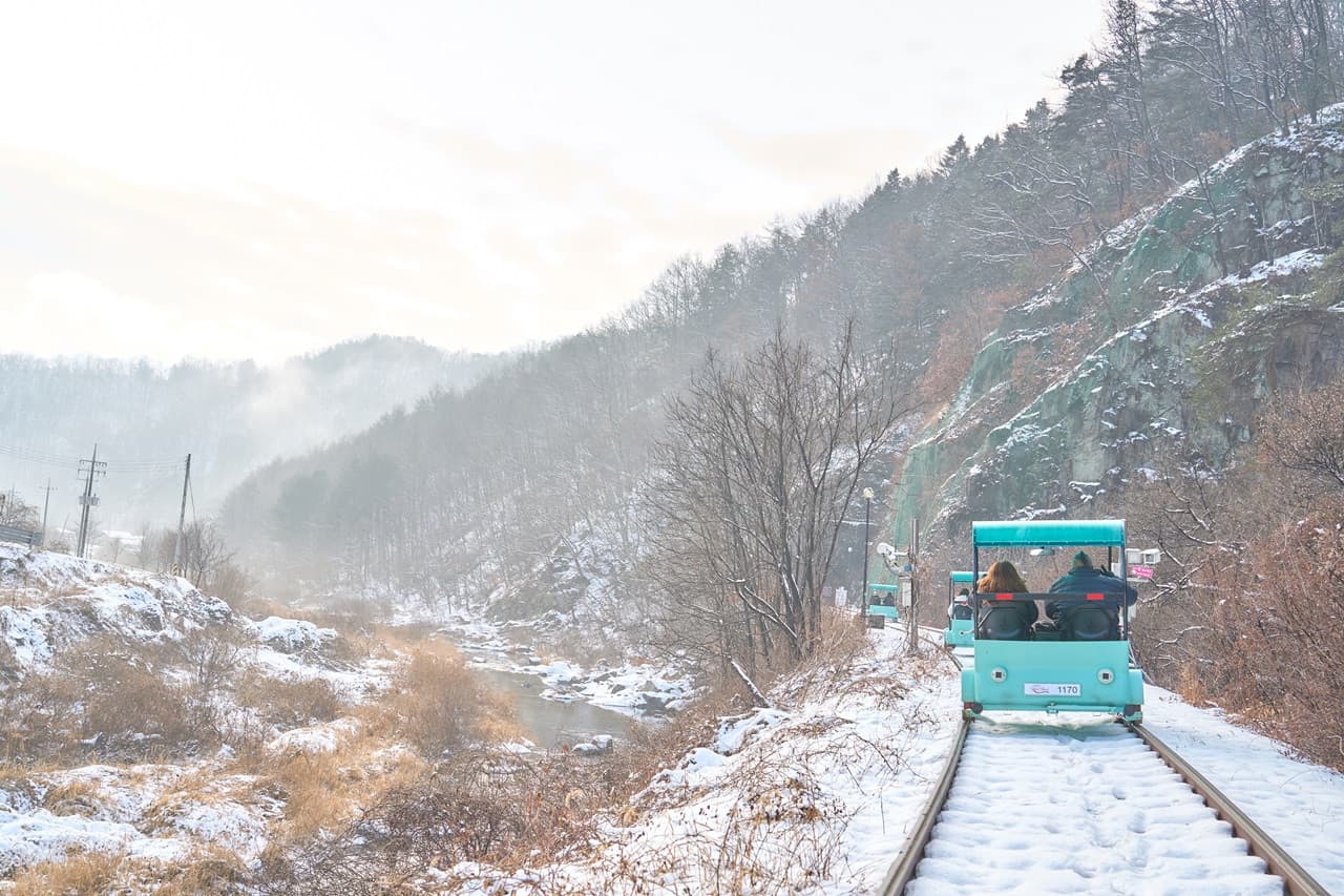 Tour de día completo a la isla de Nami, el monte Seorak y el Rail Bike de Gapyeong desde Seúl - imagen 9