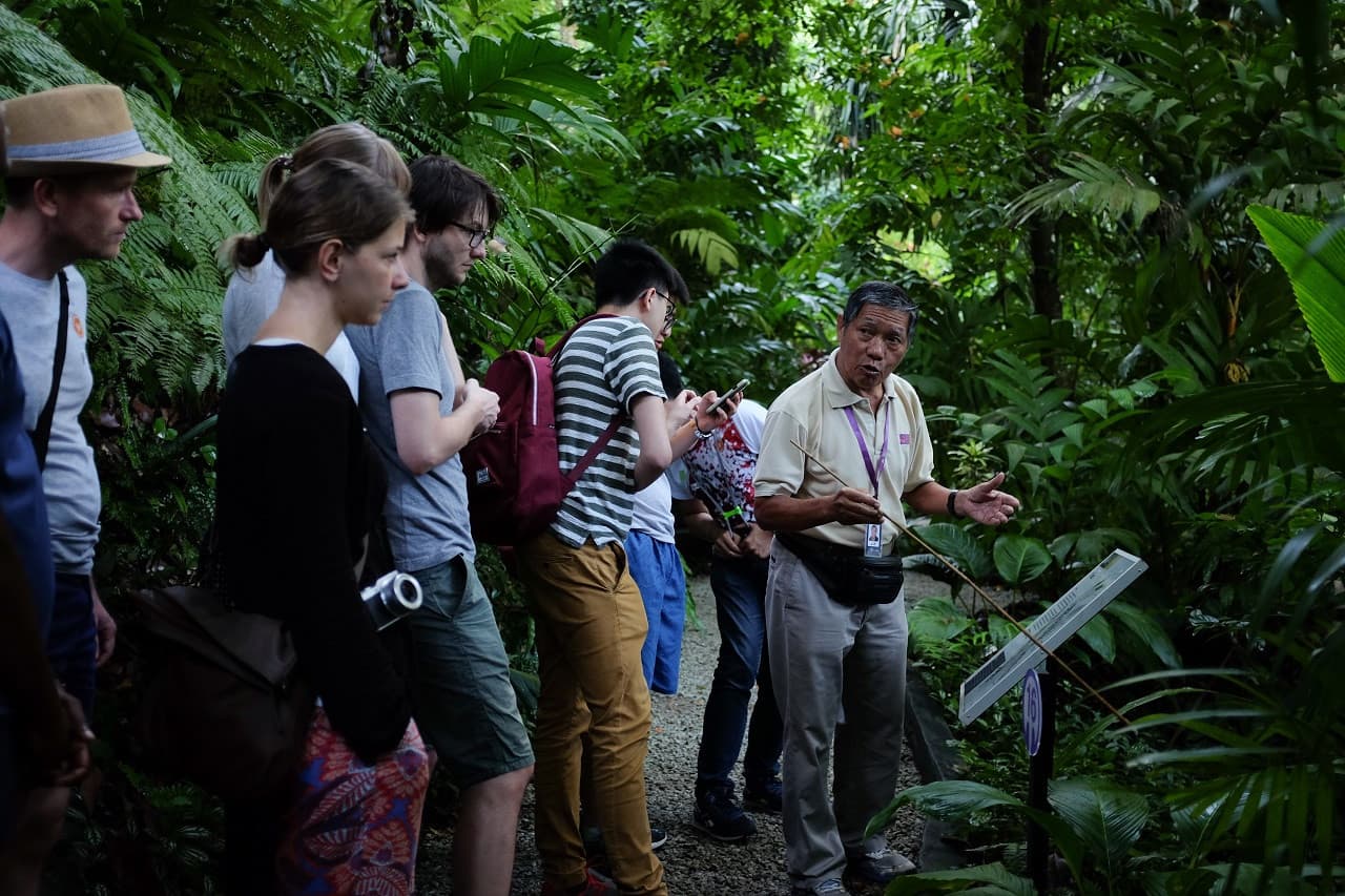 Cooking Class at Tropical Spice Garden - image 7