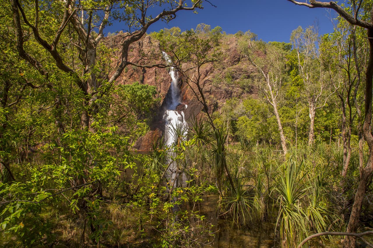 Litchfield National Park and Waterfalls Tour from Darwin - imagen 6
