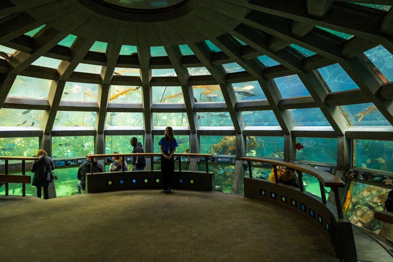 Entrada para el Seattle Aquarium - imagen 2