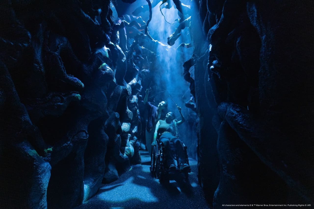 Harry Potter: Visions of Magic - image 6