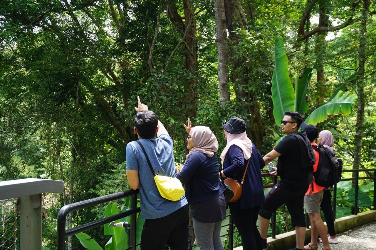 The Habitat Penang Hill Ticket - image 15