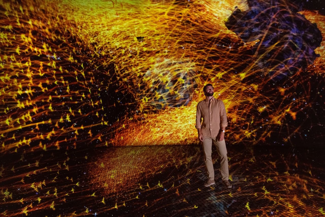 teamLab Phenomena Abu Dhabi Ticket - image 2