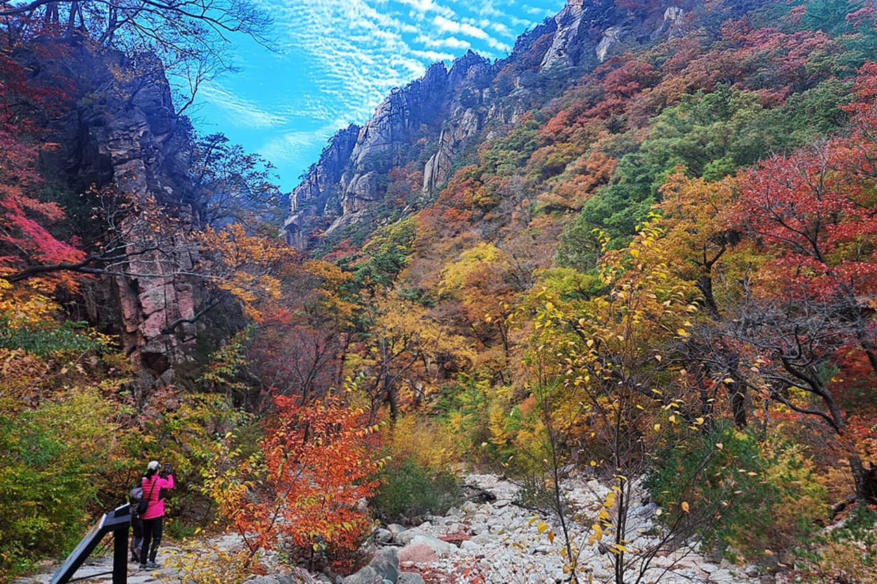 Tour de día completo a la isla de Nami, el monte Seorak y el Rail Bike de Gapyeong desde Seúl - imagen 4