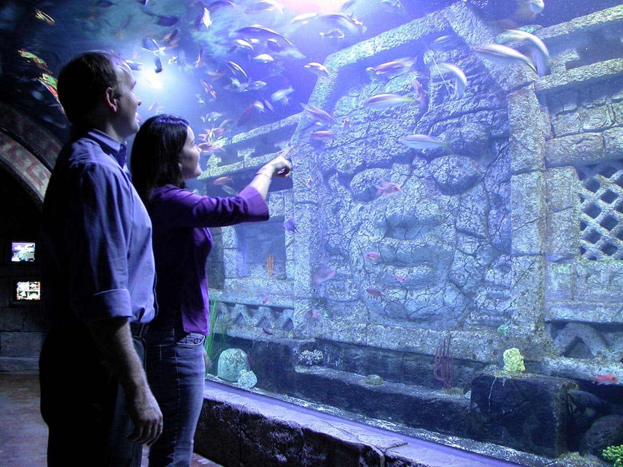 Entrada para Downtown Aquarium Houston - imagen principal