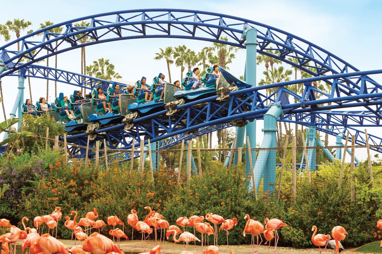 Entrada a SeaWorld San Diego: acceso directo - imagen 4