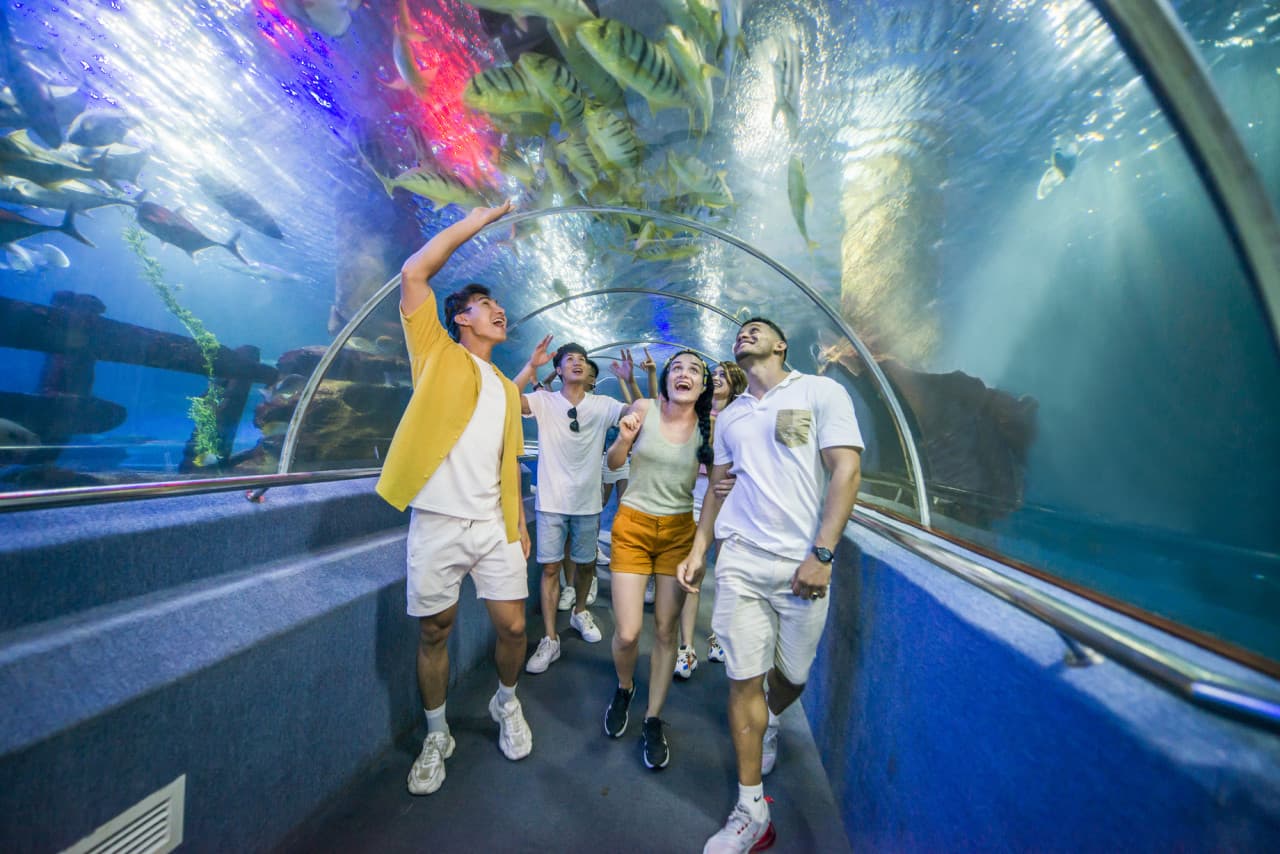 Entrada al parque de atracciones VinWonders Nha Trang - imagen 13