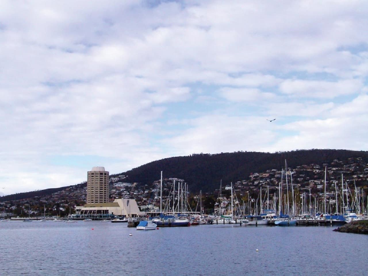 Sullivan's Cove and Hobart City Tour - 이미지 19