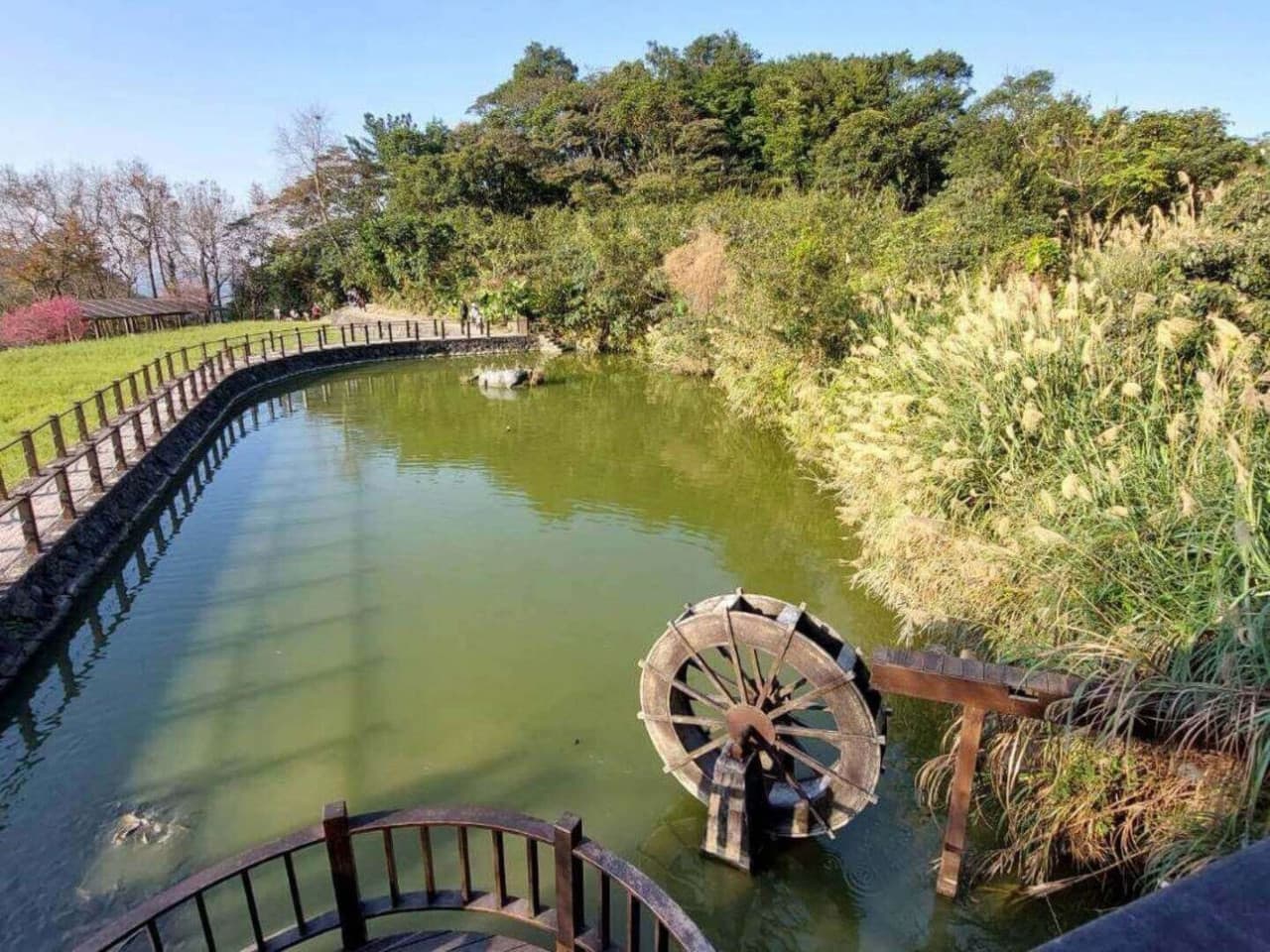 Pinglin Tea Culture and Maokong Full-Day Tour from Taipei - imagen 15