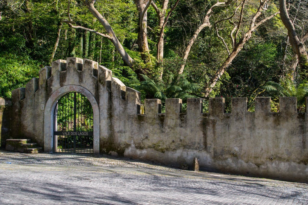 Entrada al Palacio Nacional da Pena y Parque - imagen 16