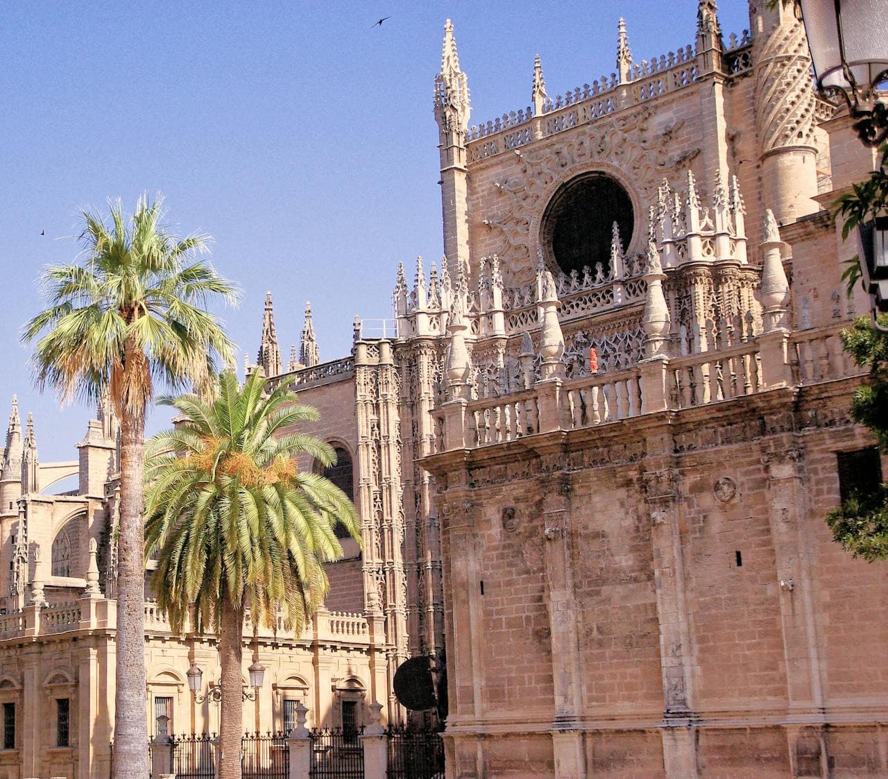 Catedral de Sevilla y La Giralda: Entrada sin filas - imagen 5