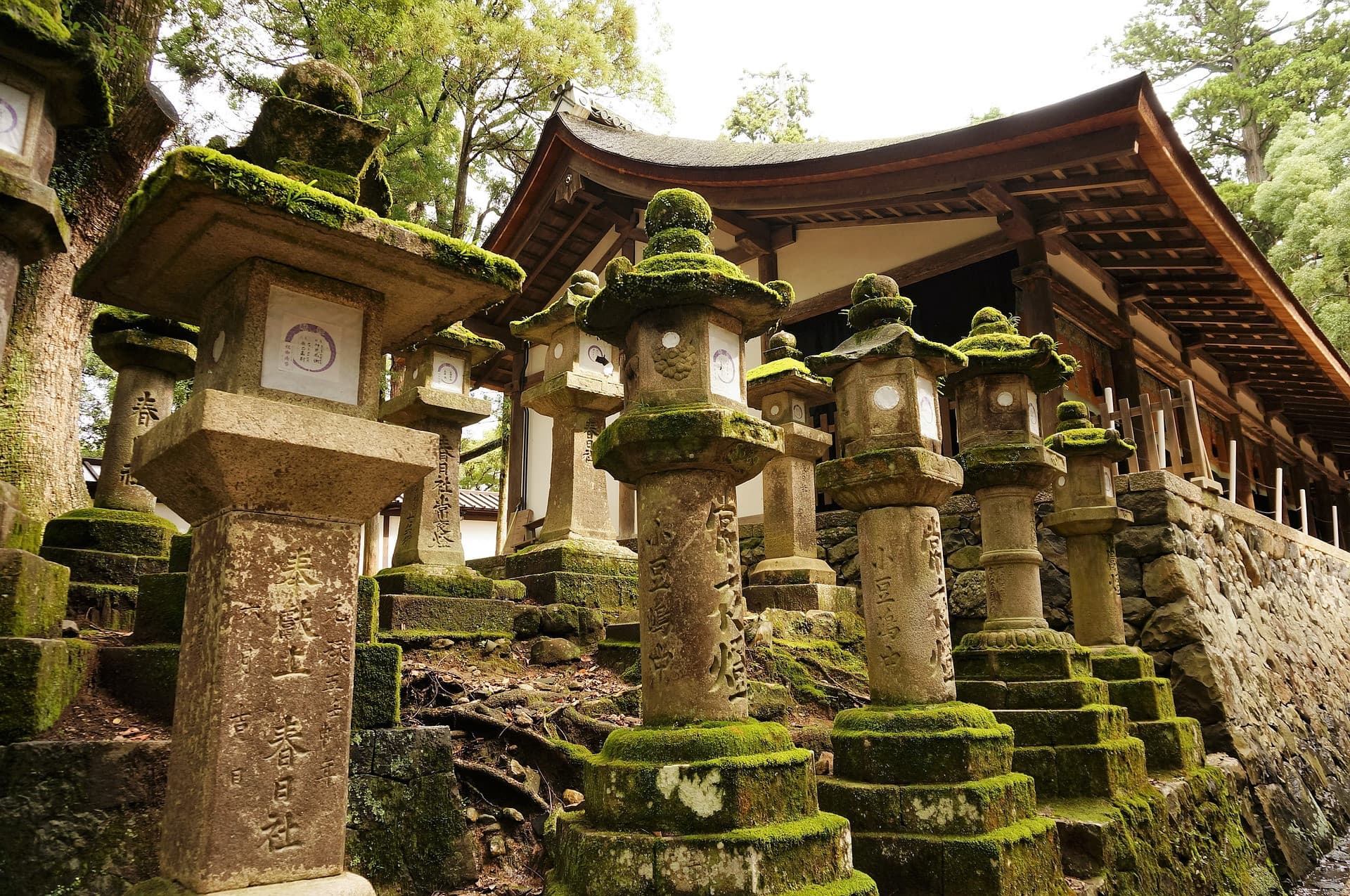 Nara Tour from Kyoto - 이미지 4