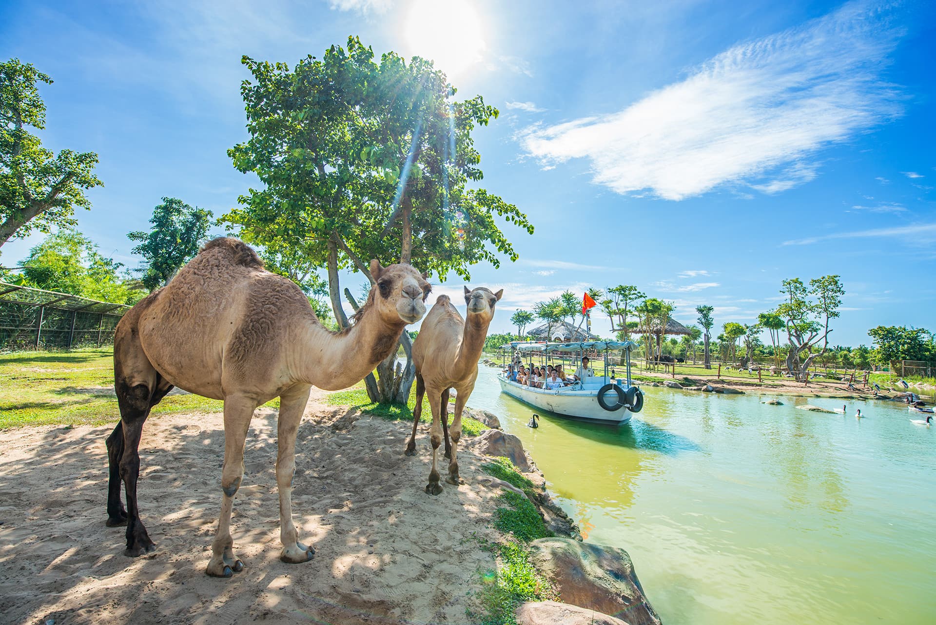 Entrada al parque de diversiones VinWonders Nam Hoi An - imagen 13