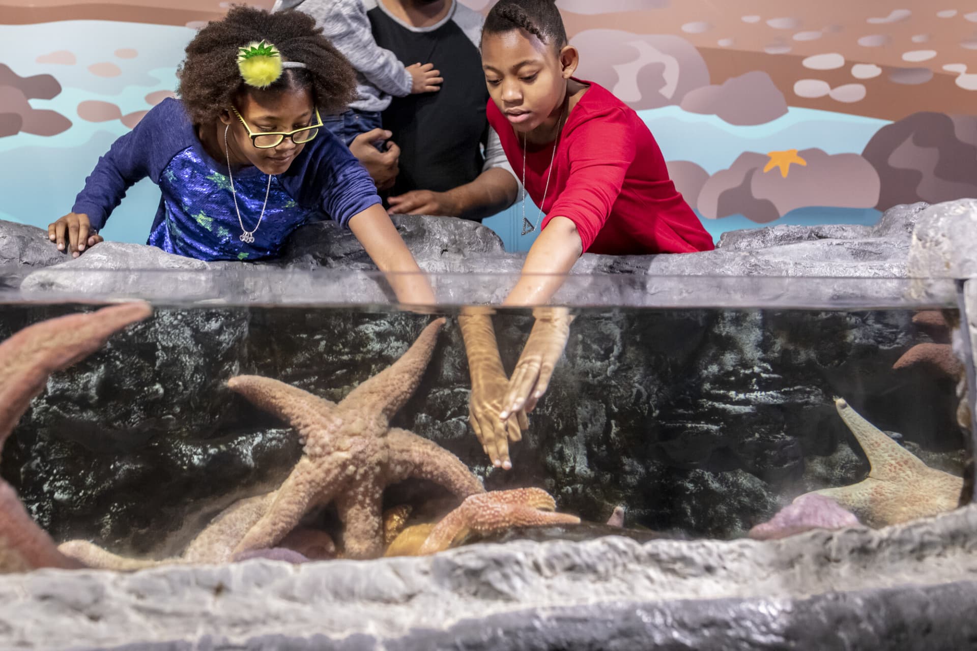 Go City Chicago All-Inclusive Pass: Ahorre hasta un 50% en atracciones - imagen 44