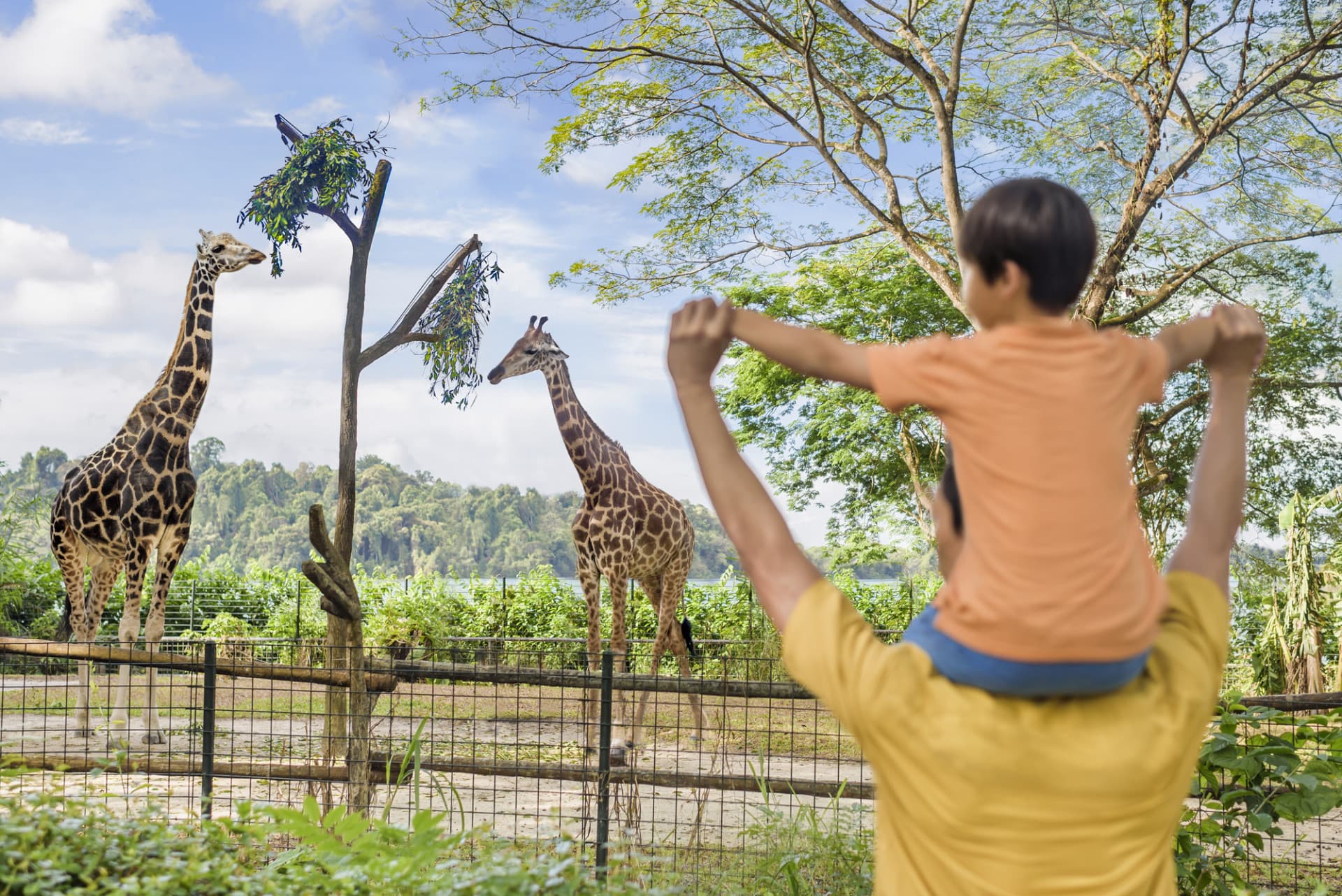 COMBO: Singapore Zoo + River Wonders Ticket - image 7