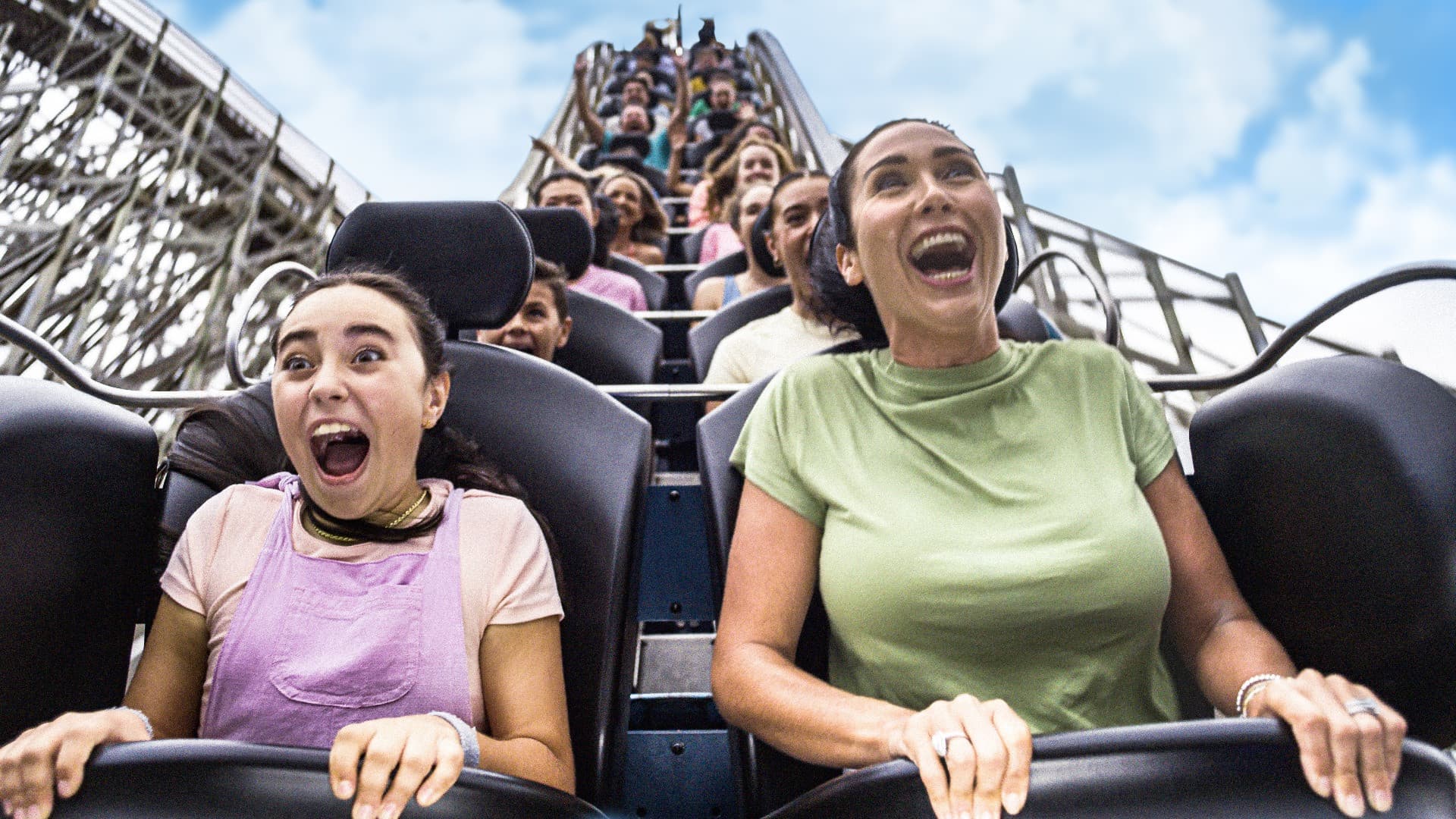 Sea World Gold Coast Ticket - image 4