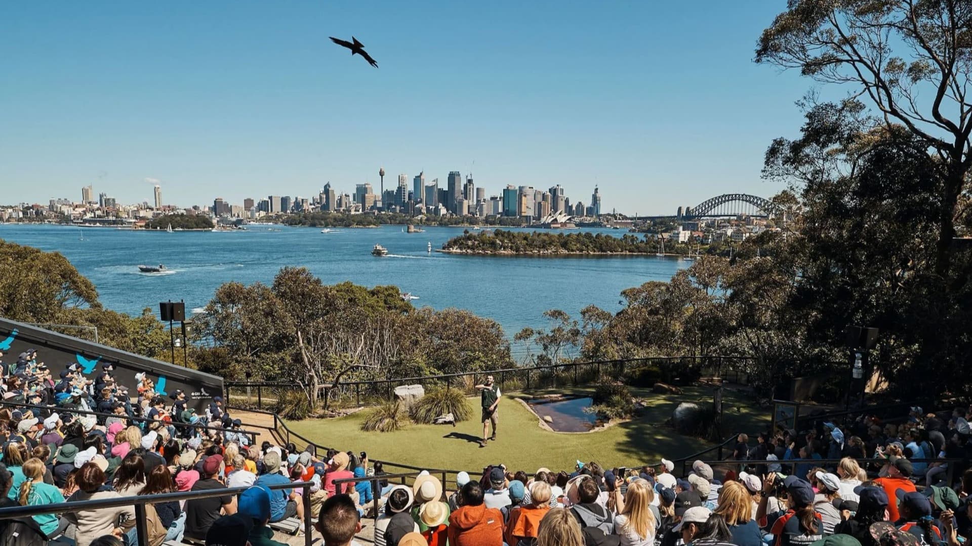 Taronga Zoo Ticket with Optional Round Trip Ferry - image 2