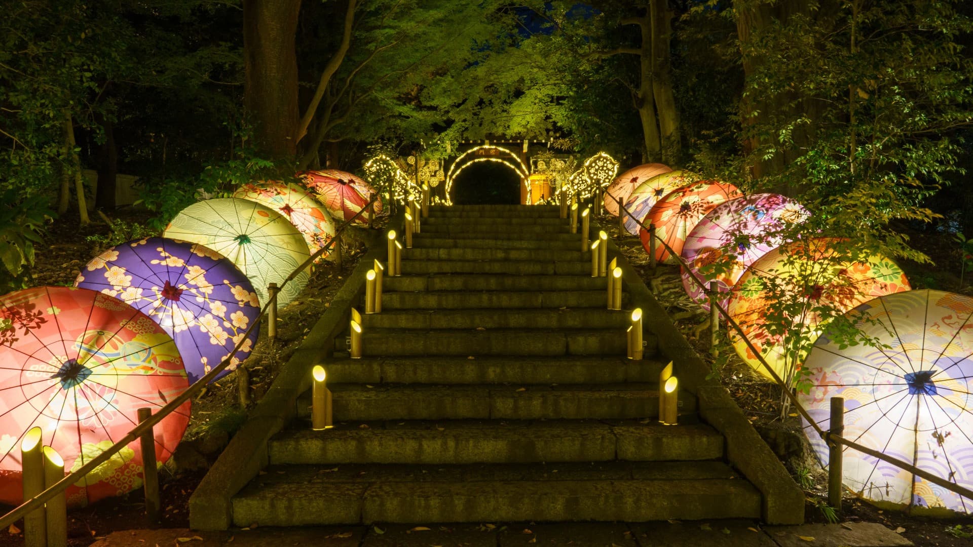 Yomiuriland Amusement Park Ticket - image 11